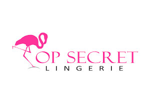 Top Secret Lingerie